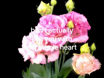 #flowersblooming #aesthetic #hopecore #hope #deepquotes 
