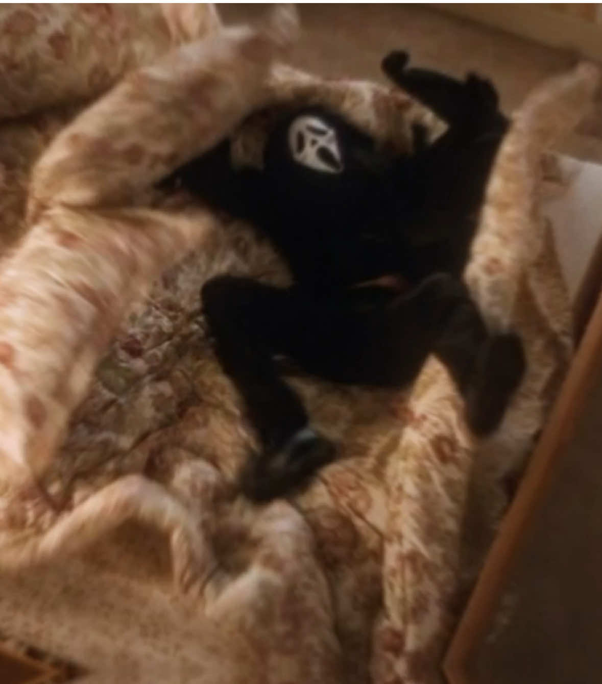 sidney does not play #scream #ghostface #sidneyprescott 