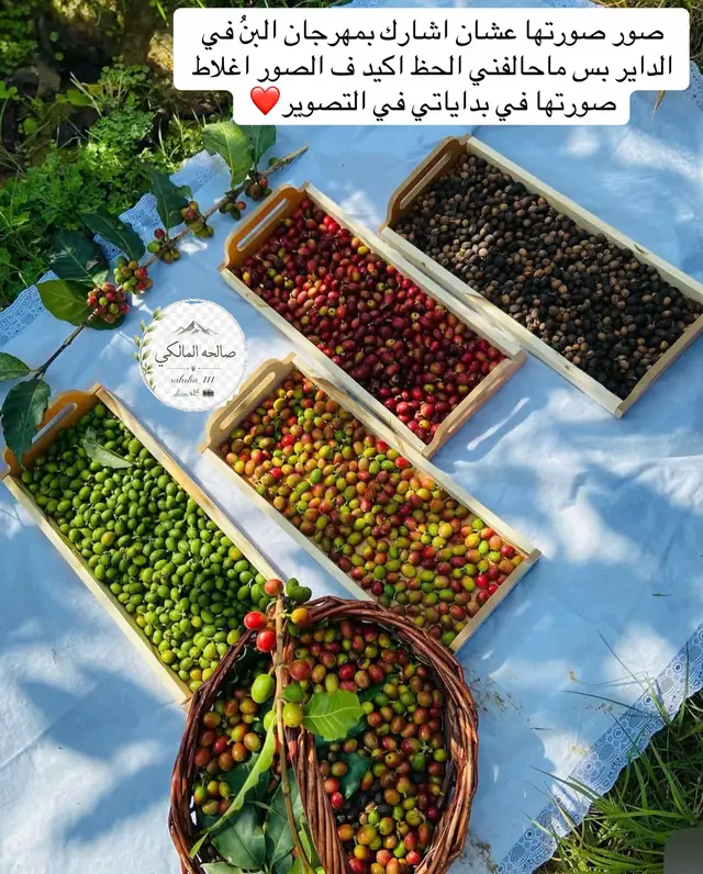 #الداير_بني_مالك #وادي_دفا #explore #fypシ゚viral #fypシ゚viral 