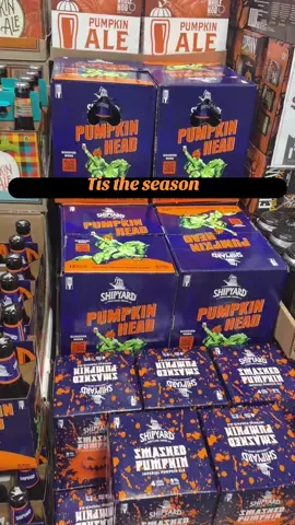 Pumpkin spice season is my favorite season 🎃🍻😂 I’ll take mine in a pint, please. ##PumpkinBeer##PumpkinSpice##FallVibes##FallDrinks##PumpkinSeason