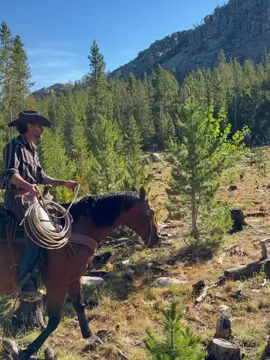 New Day New Movements  #horsetok🐴 #horseback #horsesoftiktoktok #cowboys #cowgirls #country #horses #americacowboy #cowgirl #western #scottdalearizona #horsebackriding 