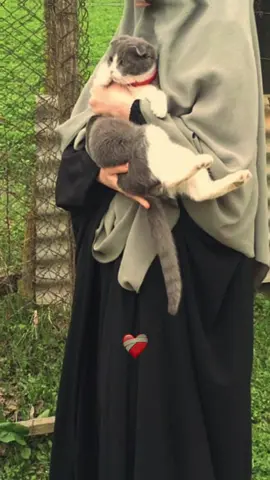 اللهم لا تدع لنا حزٍناً في قلوبنا إلا بدلته فرحاً.. ‏يا جابرا المنكسرين اجبرني 🥺 #لاحول_ولا_قوة_الا_بالله_العلي_العظيم #سبحان_الله_وبحمده_سبحان_الله_العظيم #لاله_الا_انت_سبحانك_اني_من_الظالمين #يارب_فوضت_امري_اليك #CapCut 