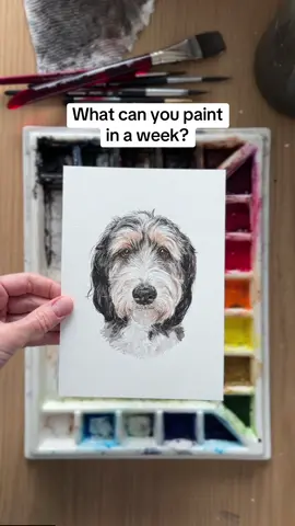 Which one is your favorite? 🐱🐶 #paintingsoftheweek