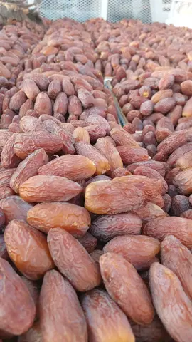 #الرياض_جده_الدمام_المدينه_الخرج_أبها 