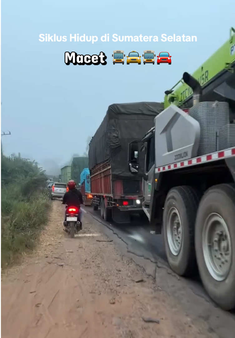 Siklus hidup di sumatera selatan #palembang 