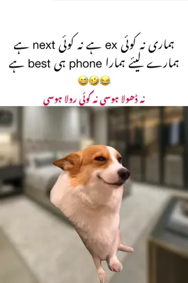 oh my Phone 📱 😂🤣  #whyshako 