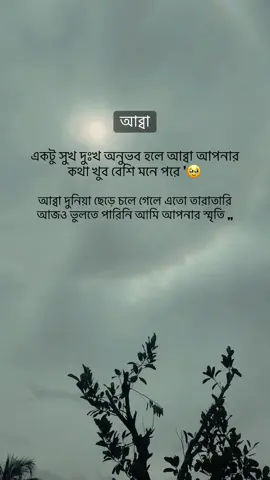 #খুব বেশি তারাতারি হারিয়ে ফেলেছি...আব্বা আপনাকে...🥹Miss You.......😭Abbu'Foryou Tiktok video