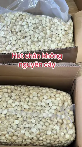 Nhân vỡ cháy hàng quá ạ #hatdinhduong #nhanmacca #macca #nhanmaccasay 