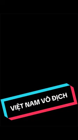 VIỆT NAM #tinhbatay #longtienghaihuoc #yeunuoc #yeunuocvietnam #vietnamvodich 