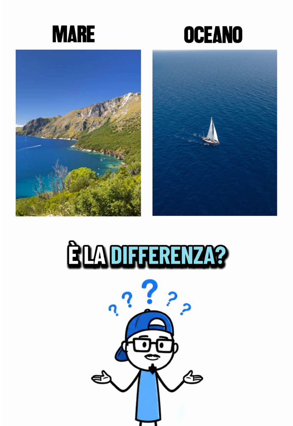 Qual è la differenza?👨🏼‍⚕️🌊 #differenza #curiosità #mare #perte #fpyシ 