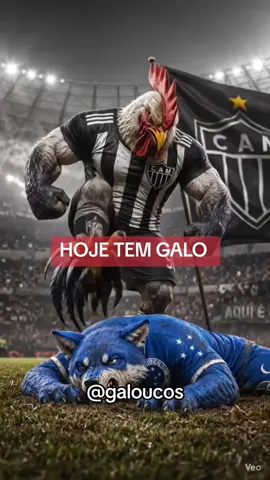 #galo #atleticomineiro #cruzeiroesporteclube #fyyy #viral 