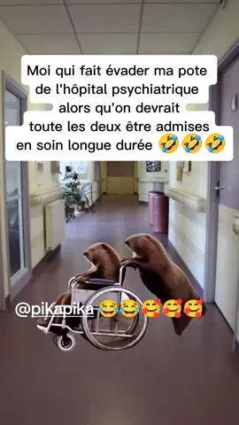 #Meme #MemeCut #CapCut 