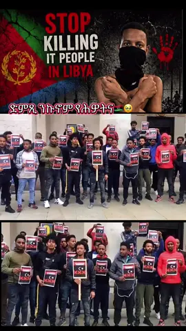 #fypシ゚viral🖤tiktok☆♡🦋myvideo❤️❤️🥰🥰 #eritreantiktok🇪🇷🇪🇷habesha #creatorsearchinsights #tigraytiktok🇻🇳🇻🇳tigraytiktok #ሰራየ💚ኣከለ💙ሓማ❤️eritrea 