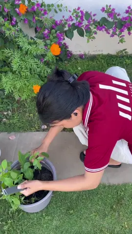 Một khoảng sân vườn có thể làm thay đổi giá trị một căn villa như thế nào? Một căn villa đẹp không chỉ nằm ở diện tích, nội thất hay số phòng ngủ. Điều khiến một căn villa trở nên đáng giá và có sức hút lâu dài, chính là không gian sống xung quanh nó. #novaworldphanthiet #villanovaworldphanthiet #VillaNghiDuong #MHTravel #bdsdongtien  Một khoảng sân xanh, những hàng cây, thảm cỏ, ánh sáng tự nhiên… tạo ra cảm giác rất khác khi bước vào villa. Đặc biệt với những gia đình đi nghỉ dưỡng, điều họ tìm kiếm không chỉ là một nơi để ngủ, mà là một không gian để cả gia đình được chậm lại, thư giãn và tận hưởng thời gian bên nhau. Đầu tư cảnh quan xanh không đơn thuần là làm cho villa đẹp hơn. Đó là cách nâng tầm trải nghiệm khách hàng, nâng giá trị khai thác và góp phần gia tăng giá trị tài sản của chính chủ villa. Một căn villa đẹp để ở đã có giá trị. Nhưng một căn villa có không gian xanh, có trải nghiệm và có câu chuyện riêng – sẽ có giá trị bền vững hơn.  Không gian xanh – giá trị thật của một căn villa