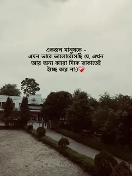 একজন মানুষকে - এমন ভাবে ভালোবেসেছি যে, এখন আর অন্য কারো দিকে তাকাতেই ইচ্ছে করে না:)❤️‍🩹 #foryou #fyp #foryoupage #vairalvideo @TikTok Bangladesh 