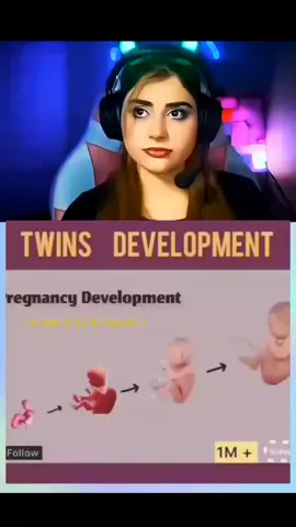 Twins development Twins fertilization proces 3DAnimation | pregnancy journey | baby development |em #for #pregnancylife #fertilization #babydevelopmemt #fypp 
