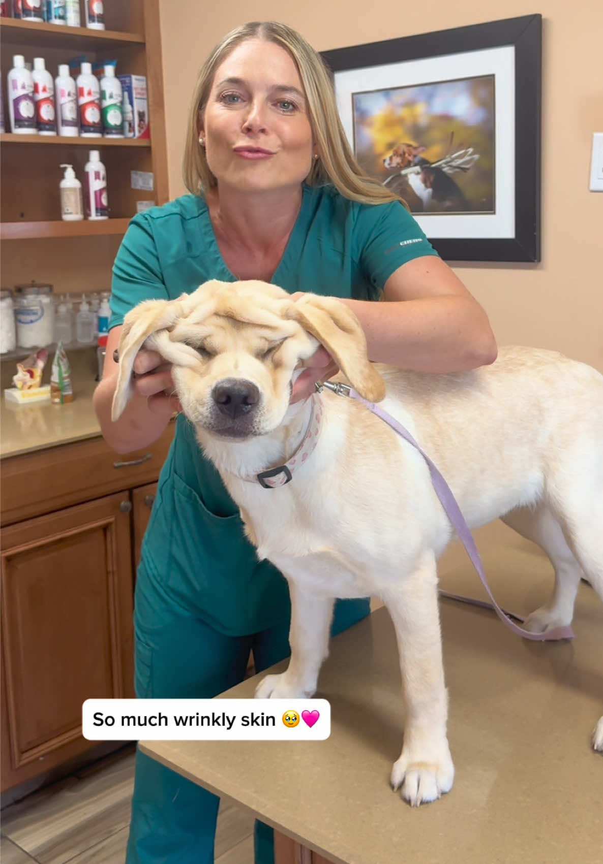 Tell me- What treats do your Labradors like to eat!!! 🤤👇 #yellowlabradorpuppy #yellowlabrador #labradorpuppy #labradorlove #cutestlabrador 