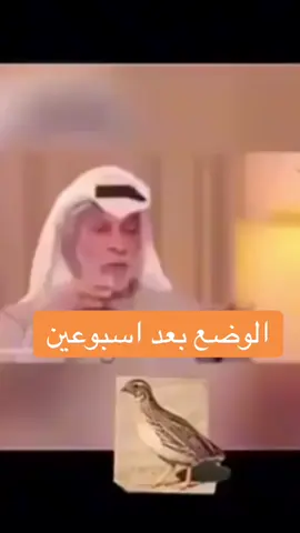 هههههههههههههههههههههههههههههههههههههههههههههههههههه#الشعب_الصيني_ماله_حل😂😂 #صقاقير_الخليج #الجهراء #اكسبلور #السعوديه 