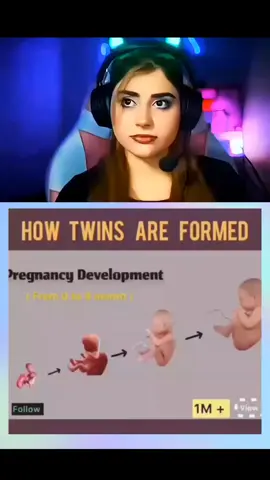 How Twins are formed twins development Twins fertilization proces 3DAnimation | pregnancy journey | #fypp #babydevelopmemt #fertilization #pregnancylife #for 