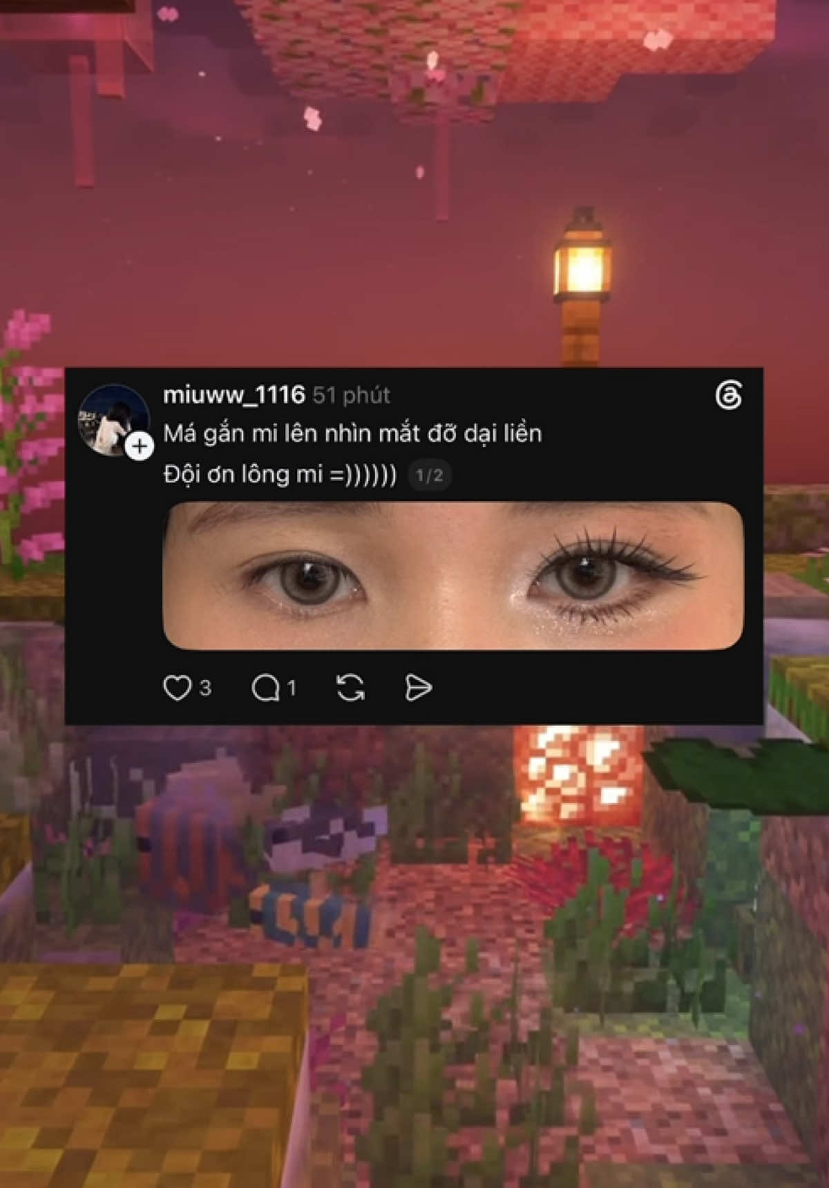 Từ khi có mi giả mắt tui như có hồn hẳn #review #lamdep #trangdiem #migia 