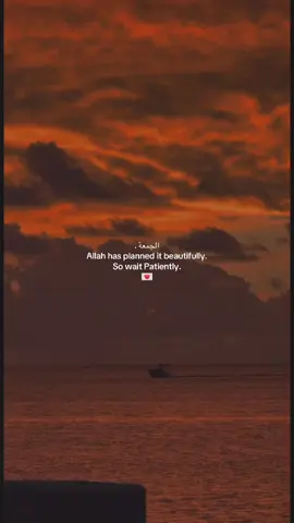 #fyp #deenoverdunya #islamic_video #islamicreminder #islamic_media 