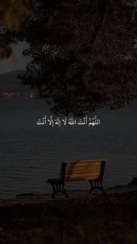 يارب 🍃🤍. . . . #اللهم_انت_الله_لا_اله_الا_انت #اكتب_شي_توجر_عليه #دعاء #مواعظ #fyp 