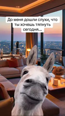 🤝🍻 #рек #rek #fyp #🫏 #осел 