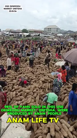 Anam yams have flooded Ose Market, Onitsha (25/8/26)