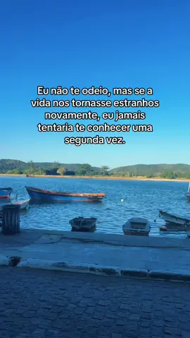 Eu não te odeio. Na verdade, por muito tempo, tentei entender tudo o que aconteceu entre nós e até me perguntei se, de alguma forma, poderia ter sido diferente. Mas hoje entendo que nem tudo o que foi intenso deveria ter permanecido. Existem histórias que nos deixam marcas tão profundas que, mesmo depois de passar a dor, a gente não consegue desejar viver tudo outra vez. Não por rancor, não por arrependimento de ter sentido… mas porque sabe o quanto precisou se perder para conseguir se encontrar depois. Talvez, em outra vida, eu tivesse escolhido não conhecer você. Não porque eu odeie quem você foi, mas porque agora sei o preço que paguei para voltar a ser quem eu era antes de me perder nessa história. E, se um dia a vida nos colocasse frente a frente como dois estranhos, talvez eu apenas seguisse o meu caminho. Porque algumas pessoas não precisam ser odiadas para que a gente escolha nunca mais deixá-las entrar. Hoje, eu não te desejo mal. Só não desejo mais a sua presença na minha vida