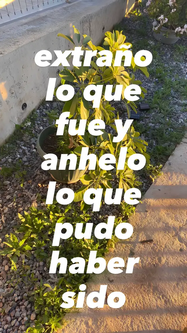 #batallasdeaura #67