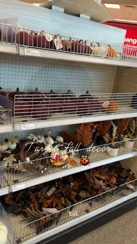 Im obsessed with everything 🥹🧸🍁@target #falldecor #targetfinds #housedecor 