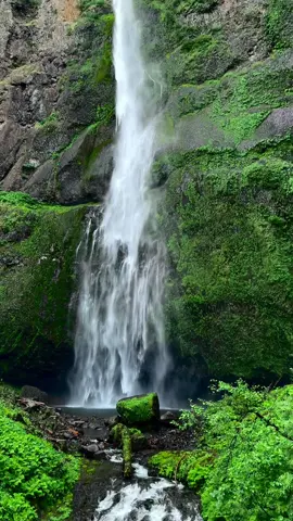 #pnw #oregon #oregonwaterfalls 