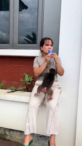 #babymonkey 