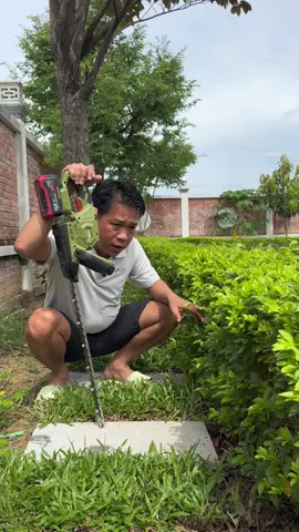 Tỉa hàng rào #amaxtools một đường cắt 1 tác phẩm