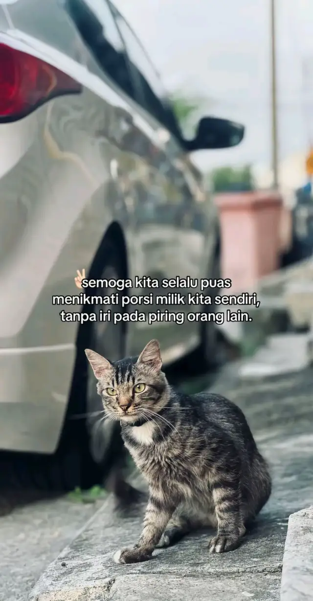 Beberapa hal yang bisa dicoba: 1. Fokus pada hal yang bisa kamu kendalikan     * Usaha, sikap, waktu, dan keputusanmu.     * Jangan terlalu menghabiskan energi untuk hal yang berada di luar kendalimu. 2. Kurangi membandingkan diri dengan orang lain     * Di media sosial, kita sering melihat hasil akhir orang lain, bukan prosesnya.     * Bandingkan dirimu dengan dirimu yang kemarin, bukan dengan orang lain. 3. Punya rutinitas sederhana     * Tidur cukup.     * Makan teratur.     * Olahraga ringan atau jalan kaki.     * Rutinitas yang stabil sering membuat pikiran lebih tenang. 4. Batasi informasi yang membuat stres     * Tidak semua berita, komentar, atau drama internet perlu diikuti.     * Pilih informasi yang benar-benar bermanfaat. 5. Selesaikan masalah satu per satu     * Jika banyak masalah datang sekaligus, buat daftar dan kerjakan yang paling penting terlebih dahulu. 6. Jaga hubungan dengan orang-orang yang baik     * Teman, keluarga, atau orang yang mendukung bisa membantu saat keadaan sulit. #abcxyz  #masukberanda #promomakanharian #fyp#motivasi5115 