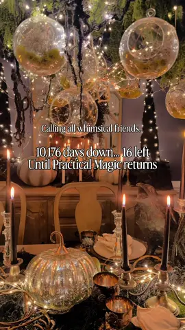 #witchy friends & #whimsicaldecor lovers… outs our time #halloweendecor #practicalmagic #practicalmagic2 @potterybarn @practicalmagicmovie 