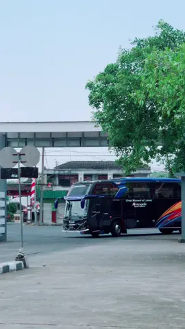 Sangarr.#armadajayaperkasa #terminalgiriadipura #busmaniacommunity #fyp 
