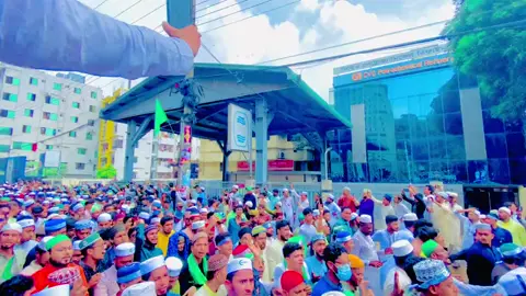 Eid a Milad un Nabi... 