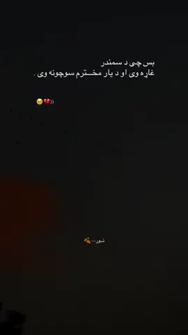 بس چی د سمندر ،،،،،،،،🍂🥹. . . . . . .. #foryou #fypシ゚viral # #viewersfriendsfollowers #viewersfriendsfollowers #viewersfriendsfollowers @🔥_Thor_نــور_🔥 ً