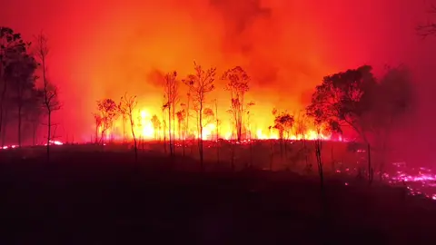 kebakaran hutan dan lahan murung raya#prayforkalimantan #karhutla #kebakaranhutan #fyp 