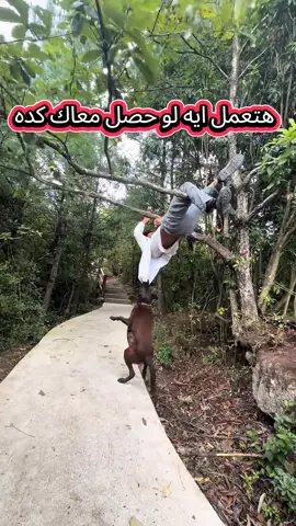 هتعمل ايه لو حصل معاك كده بصراحة 😂😂😂 كبش مفيش نقاوة 😂  #مشاهير_تيك_توك #كبش_مفيش_نقاوة😂 #الامارات_العربية_المتحده🇦🇪 #مصر_السعوديه_العراق_فلسطين #الشعب_الصيني_ماله_حل😂😂 