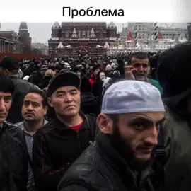 #жириновский #эдит #нелегальныемигранты 