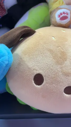 #pocha #fyp #sanrio #melo #hellokitty 