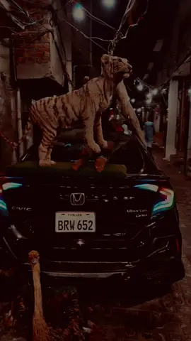 #bunttykhan786 
