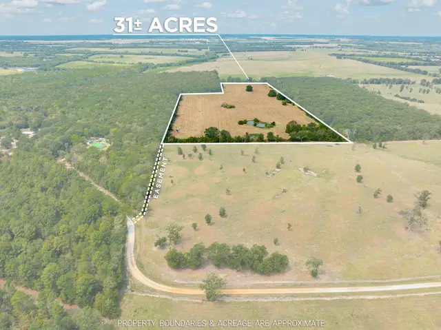 🌾 COMING SOON  - RED RIVER COUNTY 🌾 31± acres featuring sandy soil, full fencing and multiple ponds. Whether you’re looking for grazing land, a recreational retreat or the perfect place to build, this property offers endless possibilities—and it’s priced to sell! 📍 Red River County, Texas 🌳 31± acres 🐄 Fully fenced 💧 Multiple ponds This property officially hits the market tomorrow—stay tuned for pricing and full details! Leah Rolen, REALTOR® Keller Williams Legacy Luxury • Lake • Land