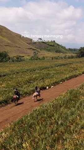 Living my Bukidnon haciendera fantasy one ride at a time. 🌾🐎🤎 Thank you @ Panimahawa ATV & Horseback Adventures at kay sir Jhigs ✨ Thank you for the drone shoot, solid! @IKenFly  #horsebackriding #bukidnon 