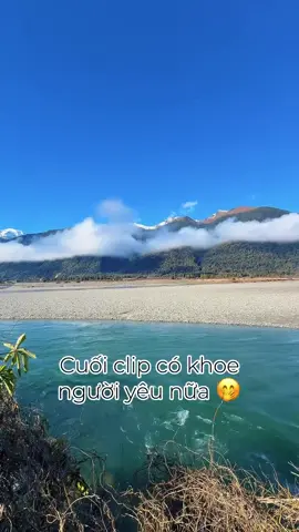 Bờ Tây New Zealand West Coast  #westcoast #newzealand 