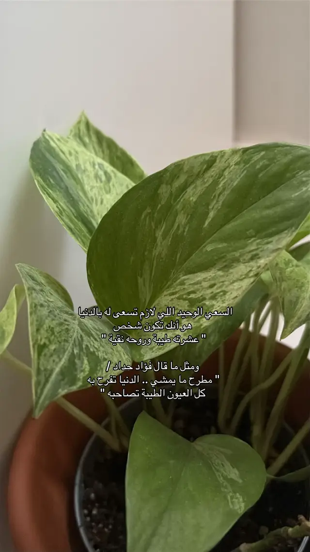 #مالي_خلق_احط_هاشتاقات🧢 #fyp 