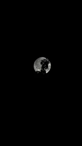 Moonbathing at midnight #fyp #moon