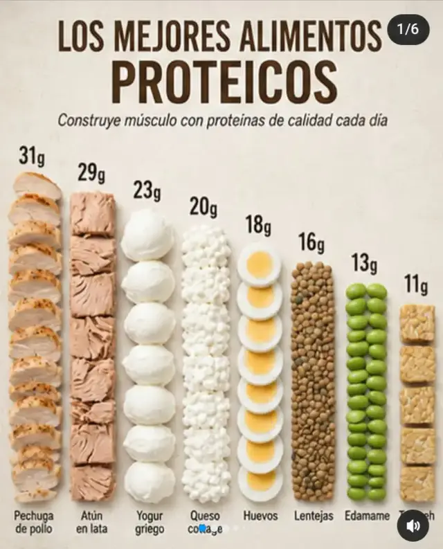 LOS MEJORES ALIMENTOS PROTEICOS  LOS MEJORES ALIMENTOS  ANTIOXIDANTES  LOS MEJORES ALIMENTOS CON FIBRA  LOS MEJORES ALIMENTOS C9N MAGNESIO  LOS MEJORES ALIMENTOS CON HIERRO LOS MEJORES ALIMENTOS CON CALCIO 